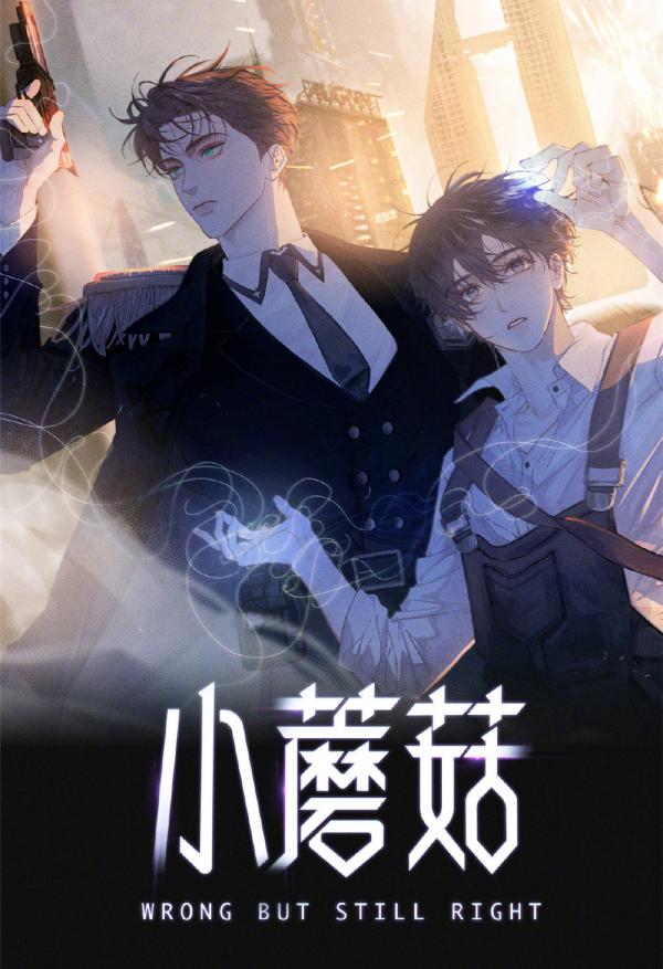 Small Mushroom Small Mushroom