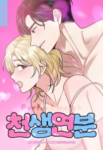 Perfect Match Perfect Match